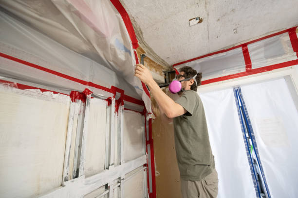 Trusted Boronda, CA Mold Removal Experts
