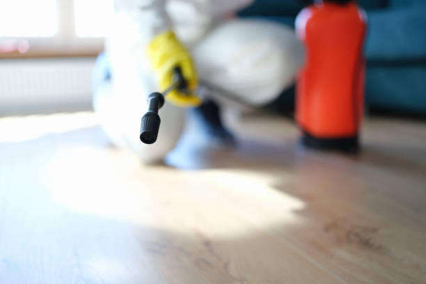 Best Mold Remediation for Healthcare Facilities  in Boronda, CA