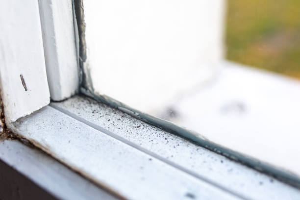 Best Commercial Mold Inspection  in Boronda, CA