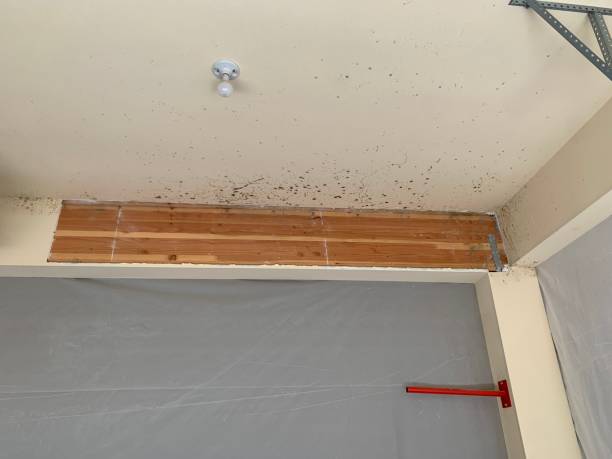 Best Indoor Air Quality Assessment  in Boronda, CA